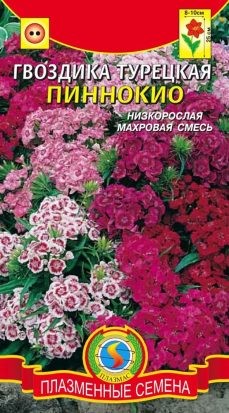 Цветы Гвоздика турецкая Пиннокио ЦВ/П (ПЛАЗМА) 0,2гр смесь двулетник до 25см Цветы Гвоздика турецкая Пиннокио ЦВ/П (ПЛАЗМА) 0,2гр смесь двулетник до 25см