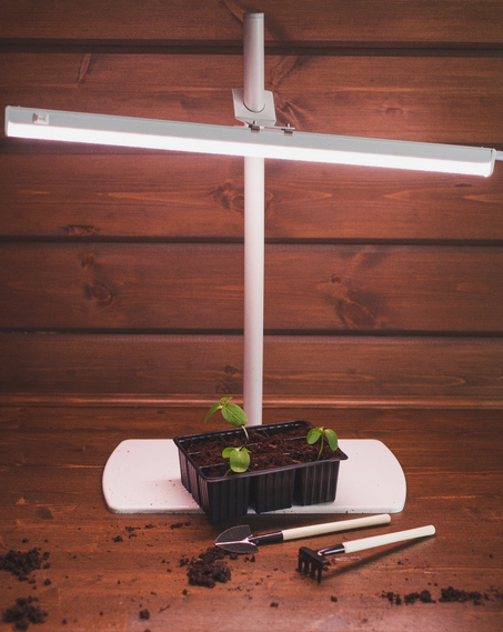 Набор Мини кассет 9 ячеек*10шт 95мл 180*140*60мм