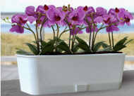 Балконный ящик Прованс 9,5лит Белый 580*170*130мм с прикорневым поливом Балконный ящик Прованс 9,5лит Белый 580*170*130мм с прикорневым поливом