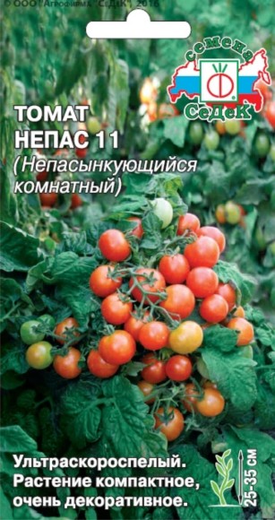 Томат Непас 11 Непасынкующийся Комнатный ЦВ/П (СЕДЕК) 0,1гр ультраскороспелый 25-35см