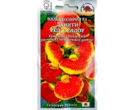 Цветы Кальцеолярия Даинти Ред энд Еллоу ЦВ/П (СОТКА) 5шт комнатное 15см