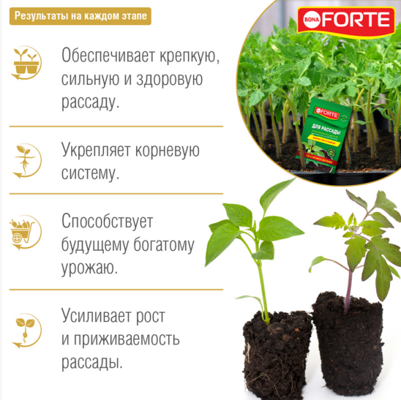 Удобрение Бона Форте Красота Рассады 10мл (1уп/25шт) Зал УПАКОВКА