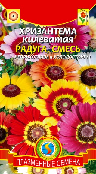Цветы Хризантема Радуга смесь ЦВ/П (ПЛАЗМА) 0,5гр однолетник 35-60см
