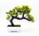 Бонсай F8510 16см