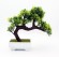 Бонсай F8510 16см