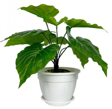 Горшок Антик 10лит D-32см Белый с поддоном