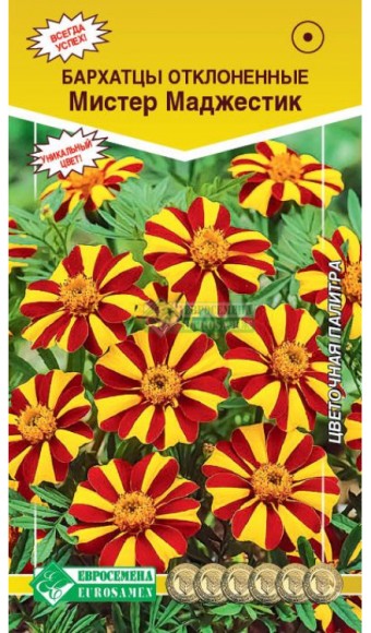 Цветы Бархатцы Мистер Маджестик ЦВ/П (ЕС) 20шт однолетник отклоненные 60см