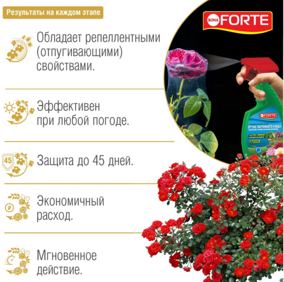 Спрей от насекомых БОНА Форте 750мл (1кор/8шт) Зал УПАКОВКА Спрей от насекомых БОНА Форте 750мл (1кор/8шт) Зал УПАКОВКА