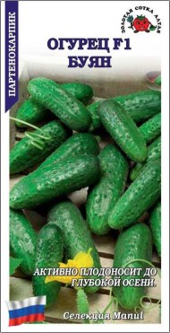 Огурец Буян F1 ЦВ/П (СОТКА) 0,15гр скороспелый партенокарпический