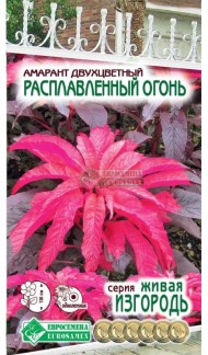 Цветы Амарант Расплавленный огонь ЦВ/П (ЕС) 0,1гр однолетник до 1,2м Цветы Амарант Расплавленный огонь ЦВ/П (ЕС) 0,1гр однолетник до 1,2м