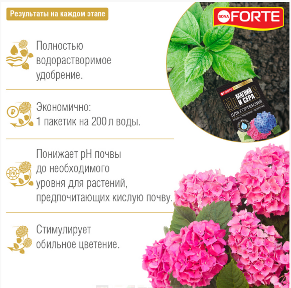 Удобрение Бона Форте Гортензий и кислолюбивых растений 100гр (1уп/10шт) (Зал Упаковка)