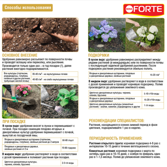 Удобрение Бона Форте Гортензий и кислолюбивых растений 100гр (1уп/10шт) (Зал Упаковка)