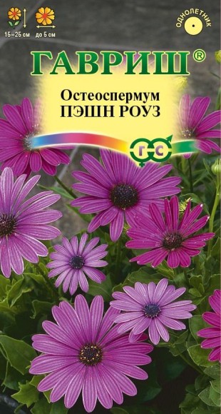 Цветы Остеоспермум Пэшн Роуз ЦВ/П (ГАВРИШ) 3шт однолетник 15-25см