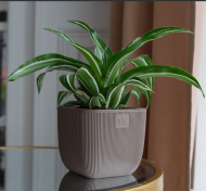 Горшок Фабио 4,7лит Шоколад 19х19х19см (с дренажной системой)