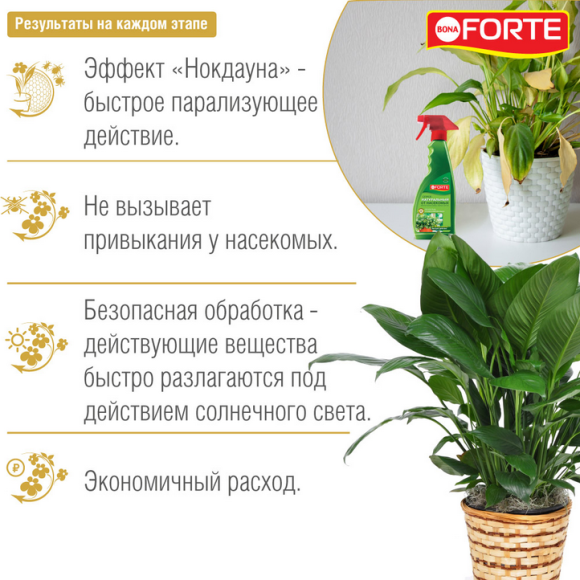 Спрей от насекомых БОНА Форте 500мл (1кор/12шт) минимум 1шт Спрей от насекомых БОНА Форте 500мл (1кор/12шт) минимум 1шт