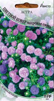 Цветы Астра Цветной ковер Смесь ЦВ/П (АВИСТА) 0,2гр однолетник до 20см Цветы Астра Цветной ковер Смесь ЦВ/П (АВИСТА) 0,2гр однолетник до 20см