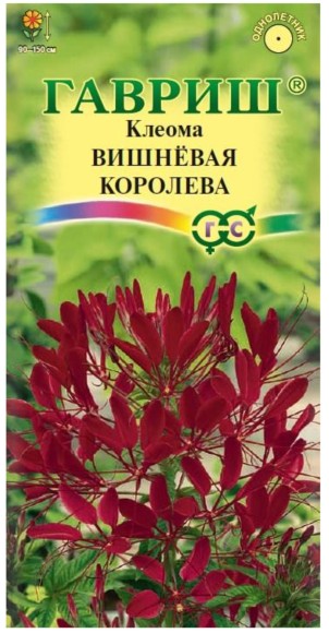 Цветы Клеома Вишнёвая Королева ЦВ/П (ГАВРИШ) 0,3гр однолетник до 1,5м