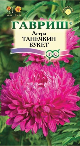 Цветы Астра Танечкин букет ЦВ/П (ГАВРИШ) 0,3гр карминно-красная махровая однолетник 55см