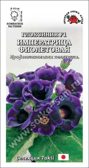 Цветы Глоксиния Императрица Фиолетовая ЦВ/П (СОТКА) 5шт комнатное