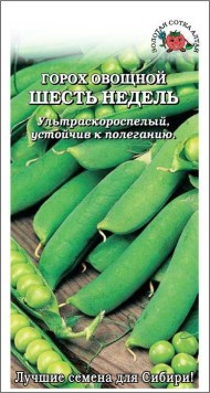Горох Шесть недель ЦВ/П (СОТКА) 10гр ультраскороспелый 45-55см