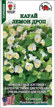 Цветы Торения Кауай Лемон Дроп ЦВ/П (СОТКА) 5шт комнатное 15-20см