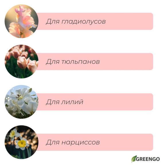 Корзинка для луковичных Квадратная 250*200мм