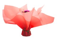 Каркас для букета 70*70см Красный Полипропилен