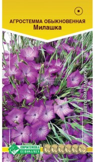 Цветы Агростемма Милашка ЦВ/П (ЕС) 0,5гр однолетник до 1м