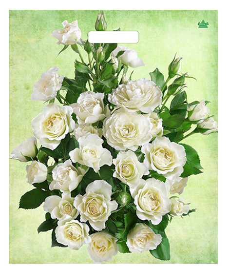 Сумочка пакет п/э 450*380мм Белые розы Арт-00208105