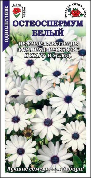 Цветы Остеоспермум Белый ЦВ/П (СОТКА) 0,1гр однолетник до 60см