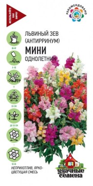 Цветы Львиный Зев Мини Микс ЦВ/П (ГАВРИШ) серия УДС 0,05гр однолетник до 20см Цветы Львиный Зев Мини Микс ЦВ/П (ГАВРИШ) серия УДС 0,05гр однолетник до 20см