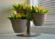 Цветник Антик 3 горшка Фраппе