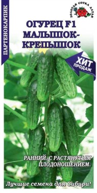 Огурец Малышок-крепышок F1 ЦВ/П (СОТКА) 0,15гр раннеспелый партенокарпический
