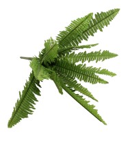 Папоротник для горшка №00 8 веток 63см