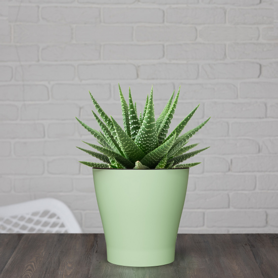 Горшок Лея 2,2лит Светло-Зелёный (с дренажной системой)