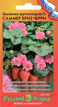Земляника Саммер Бриз Черри F1 ЦВ/П (РУССКИЙ ОГОРОД) 3шт ремонтантный