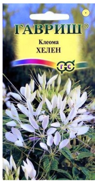 Цветы Клеома Хелен белая ЦВ/П (ГАВРИШ) 0,3гр однолетник до 1,5м