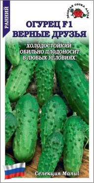 Огурец Верные Друзья F1 ЦВ/П (СОТКА) 0,15гр раннеспелый