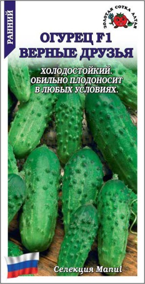Огурец Верные Друзья F1 ЦВ/П (СОТКА) 0,15гр раннеспелый
