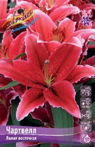 Лилия Чартвелл (1уп/5шт) вост.