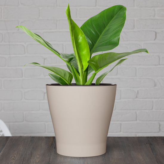 Горшок Лея 5лит Бежевый (с дренажной системой) Горшок Лея 5лит Бежевый (с дренажной системой)