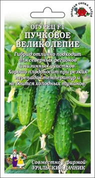 Огурец Пучковое великолепие F1 ЦВ/П (СОТКА) 5шт скороспелый партенокарпический