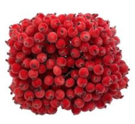 Набор Ягоды засахаренной D-12мм 14см Красные 20шт