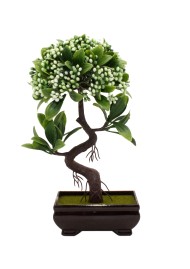 Бонсай M8520A 26см