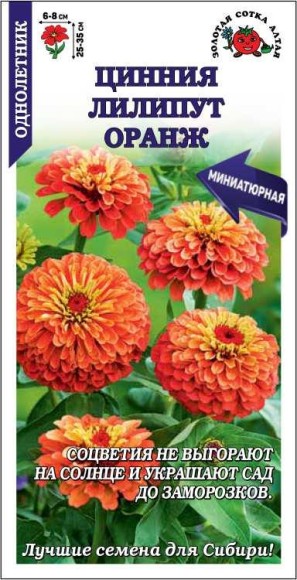 Цветы Цинния Лилипут Оранж ЦВ/П (СОТКА) 0,2гр однолетник 25-35см