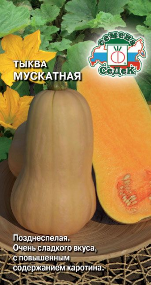 Тыква Мускатная ЦВ/П (СЕДЕК) 2гр позднеспелый длиноплетистый Тыква Мускатная ЦВ/П (СЕДЕК) 2гр позднеспелый длиноплетистый