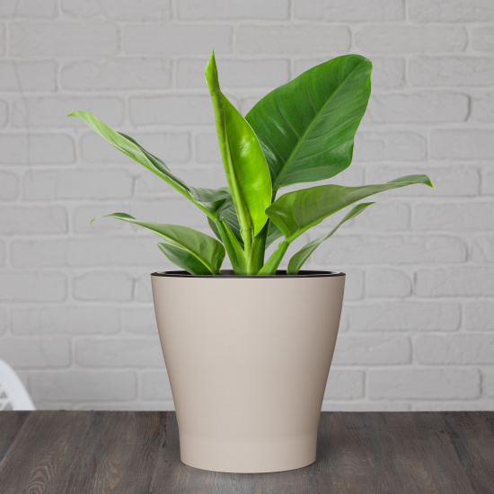 Горшок Лея 3,6лит Бежевый (с дренажной системой) Горшок Лея 3,6лит Бежевый (с дренажной системой)