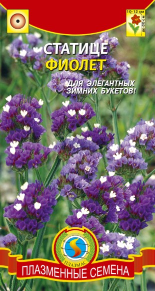 Цветы Статице Фиолетовая ЦВ/П (ПЛАЗМА) 0,05гр сухоцвет однолетник до 1м Цветы Статице Фиолетовая ЦВ/П (ПЛАЗМА) 0,05гр сухоцвет однолетник до 1м
