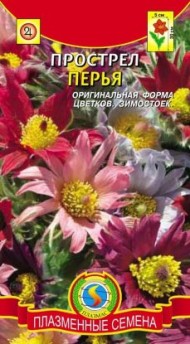 Цветы Прострел Перья ЦВ/П (ПЛАЗМА) 10шт многолетник 30см