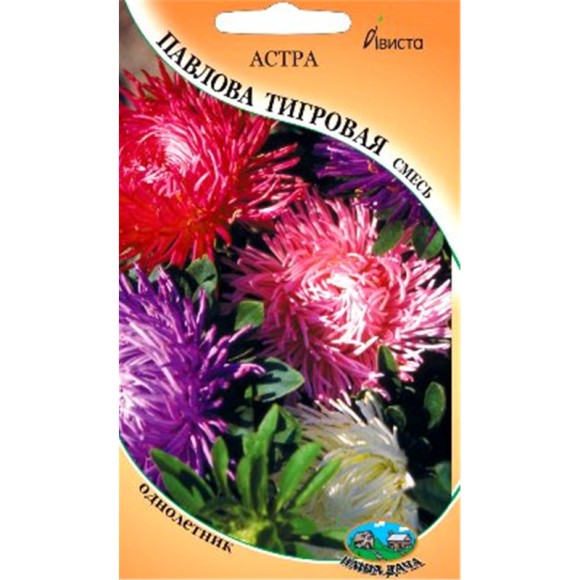 Цветы Астра Павлова тигровая Смесь ЦВ/П (АВИСТА) 0,2гр однолетник 70см